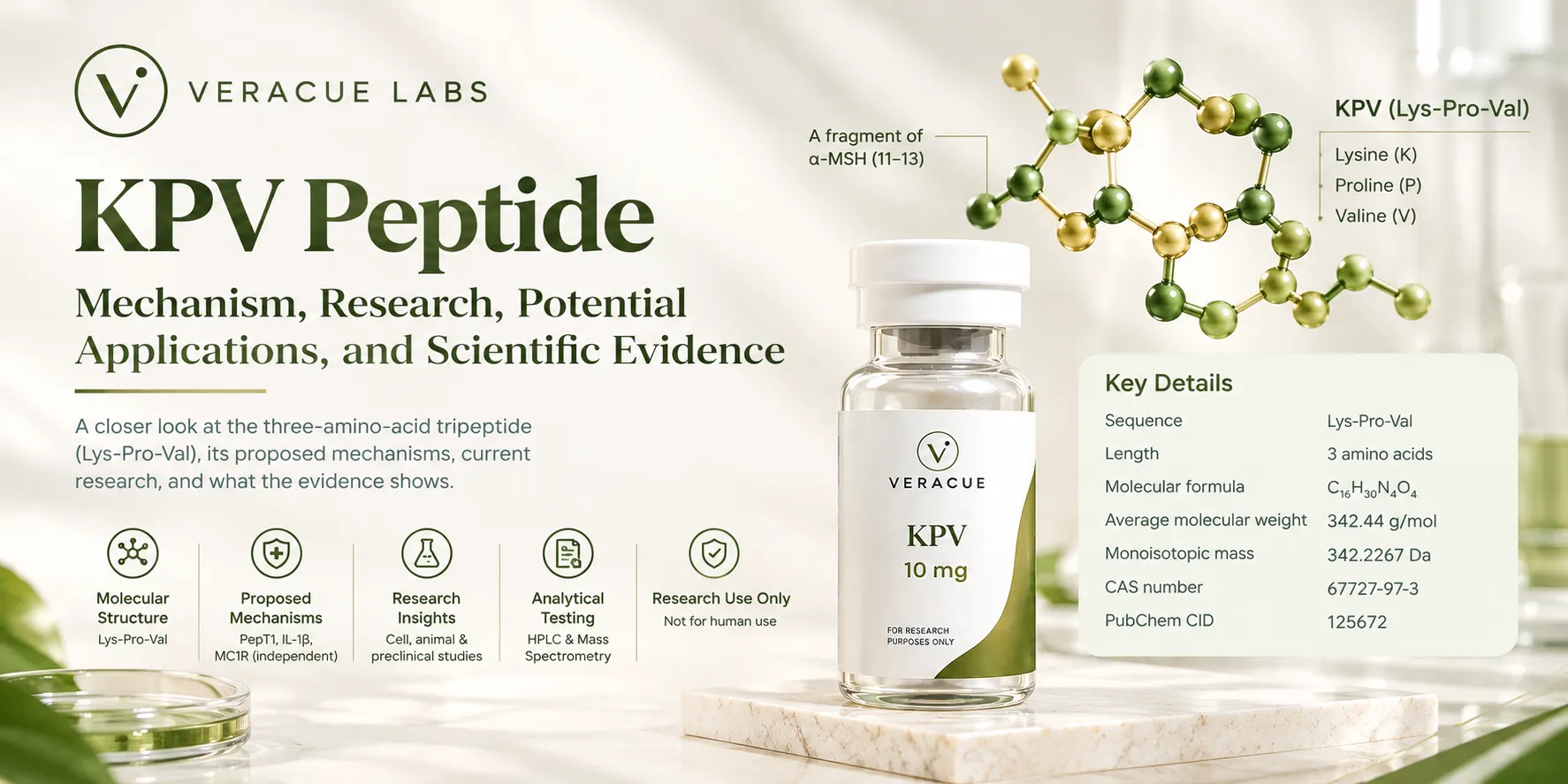 KPV Peptide: No Human Trials, and an FDA Panel Recommended It Anyway