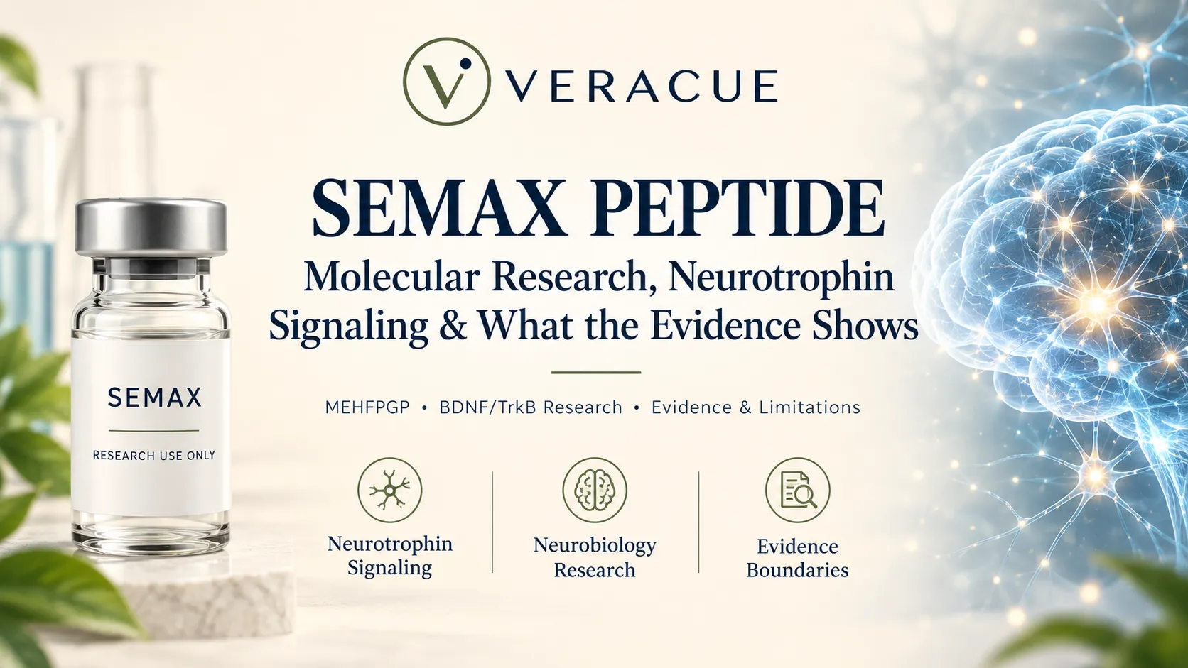 Semax Peptide Research: BDNF/TrkB Signaling and the Evidence